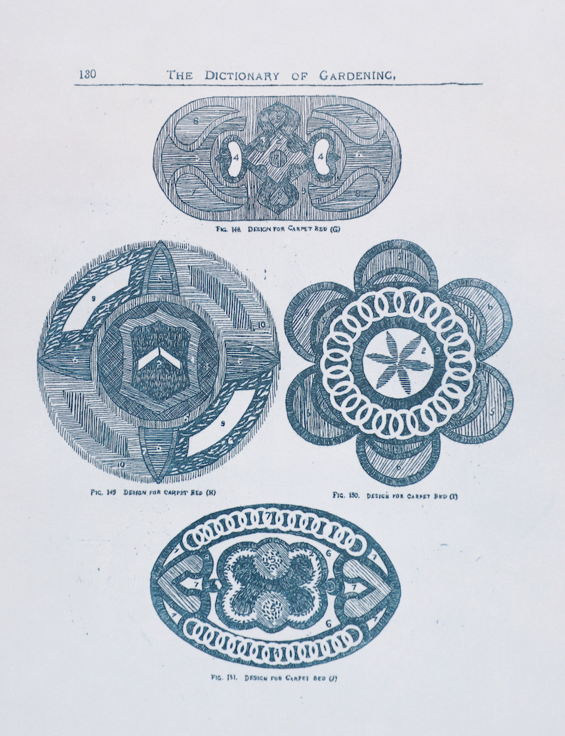 Sarasija Subramanian, etching on zinc plate, gardening serie