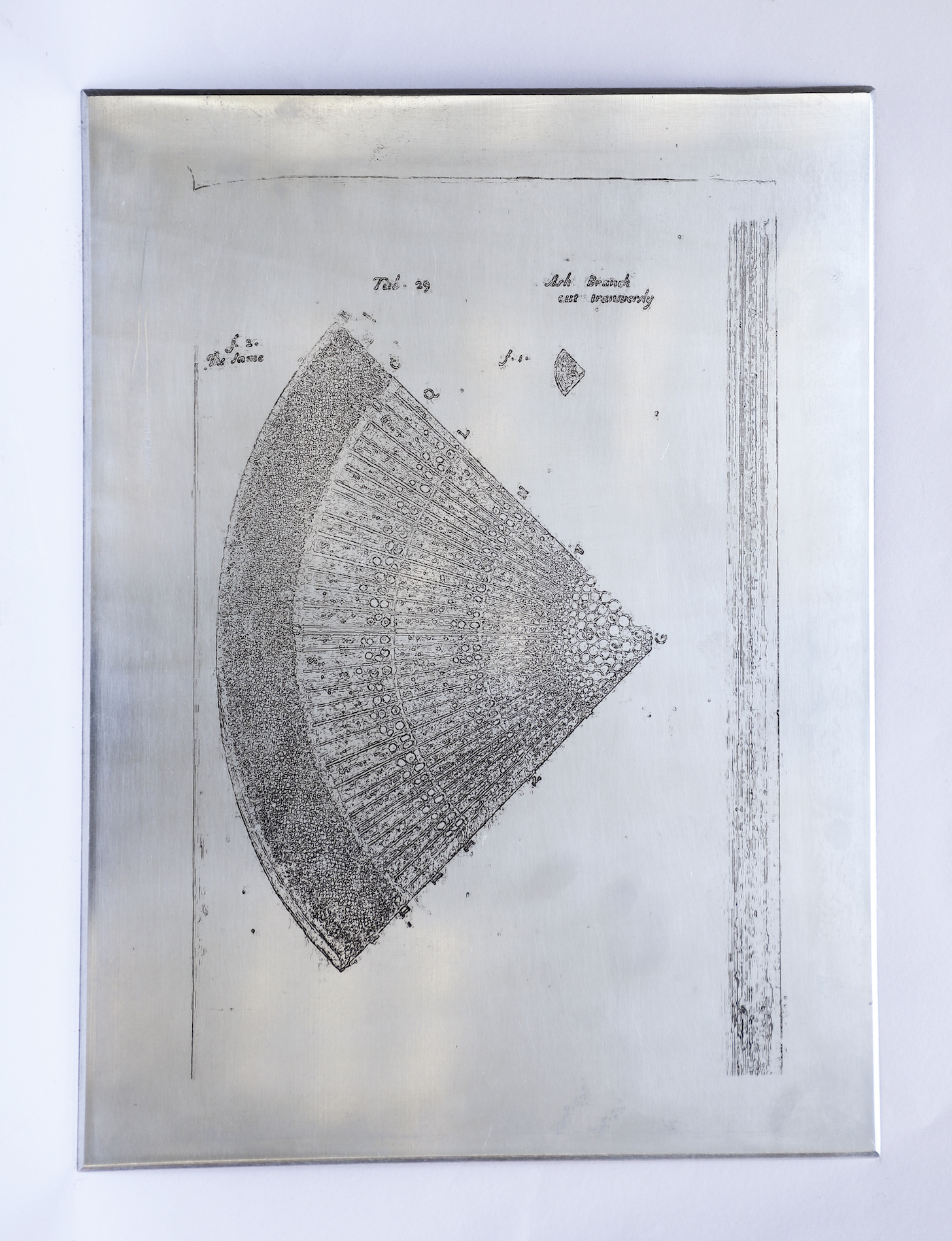 Sarasija subramanian, reliable copy, zinc plate, etching