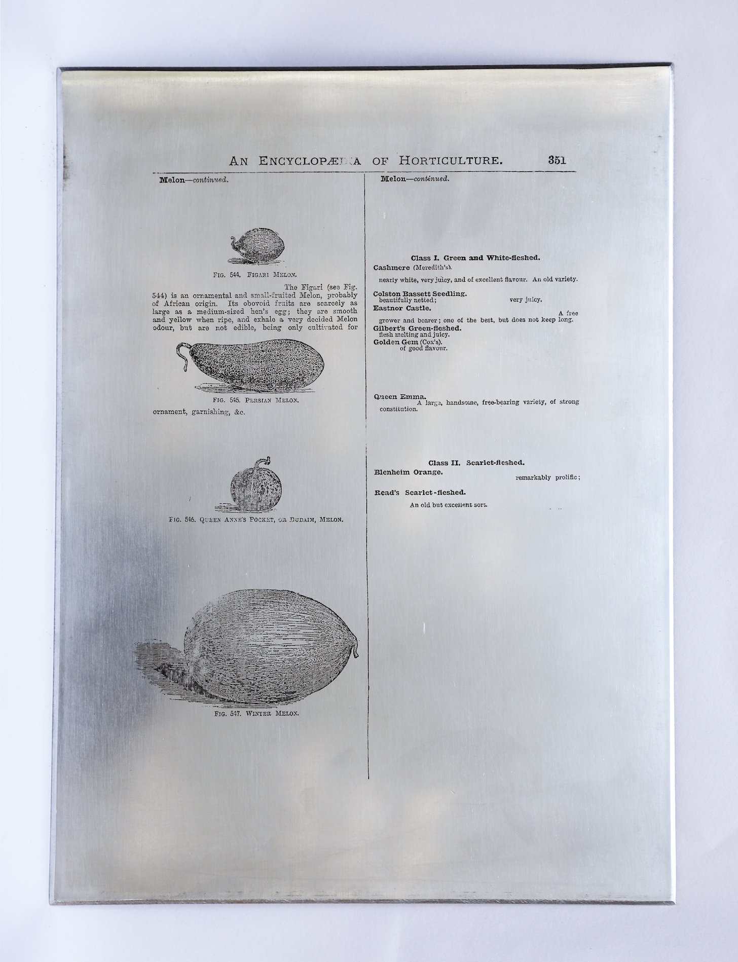 Sarasija subramanian, reliable copy, zinc plate, etching