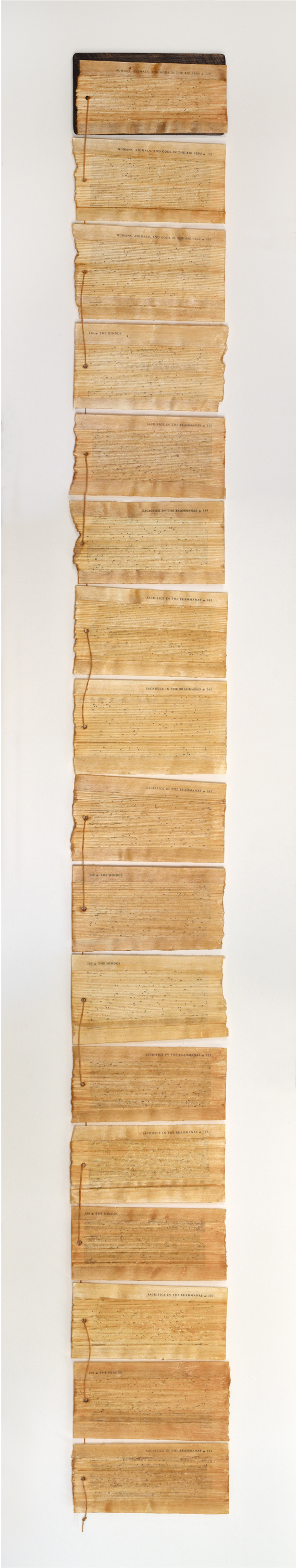 India Art Fair 2023, Mansha Chhatwal, Book pages, censored