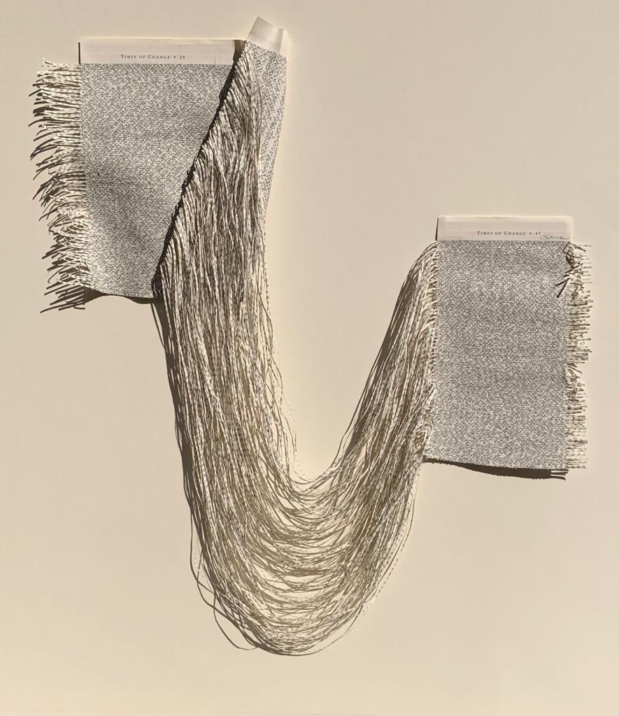 India Art Fair 2023, Youdhisthir Maharjan, Book pages