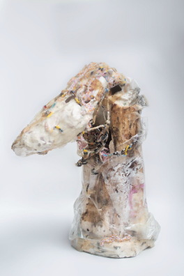 Chathuri Nissansala, Sri lanka, post war identity