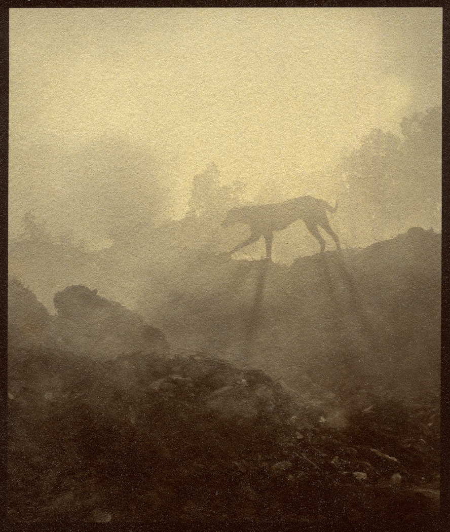 Vivek Muthuramalingam, albumen silver print, Kanike Studio