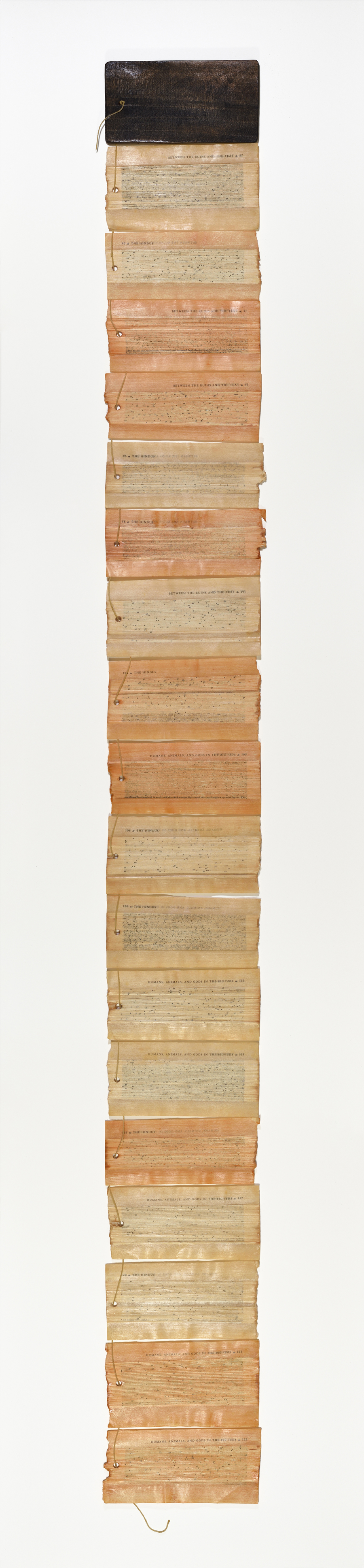 Mansha Chhatwal, banned book, contemporary book art