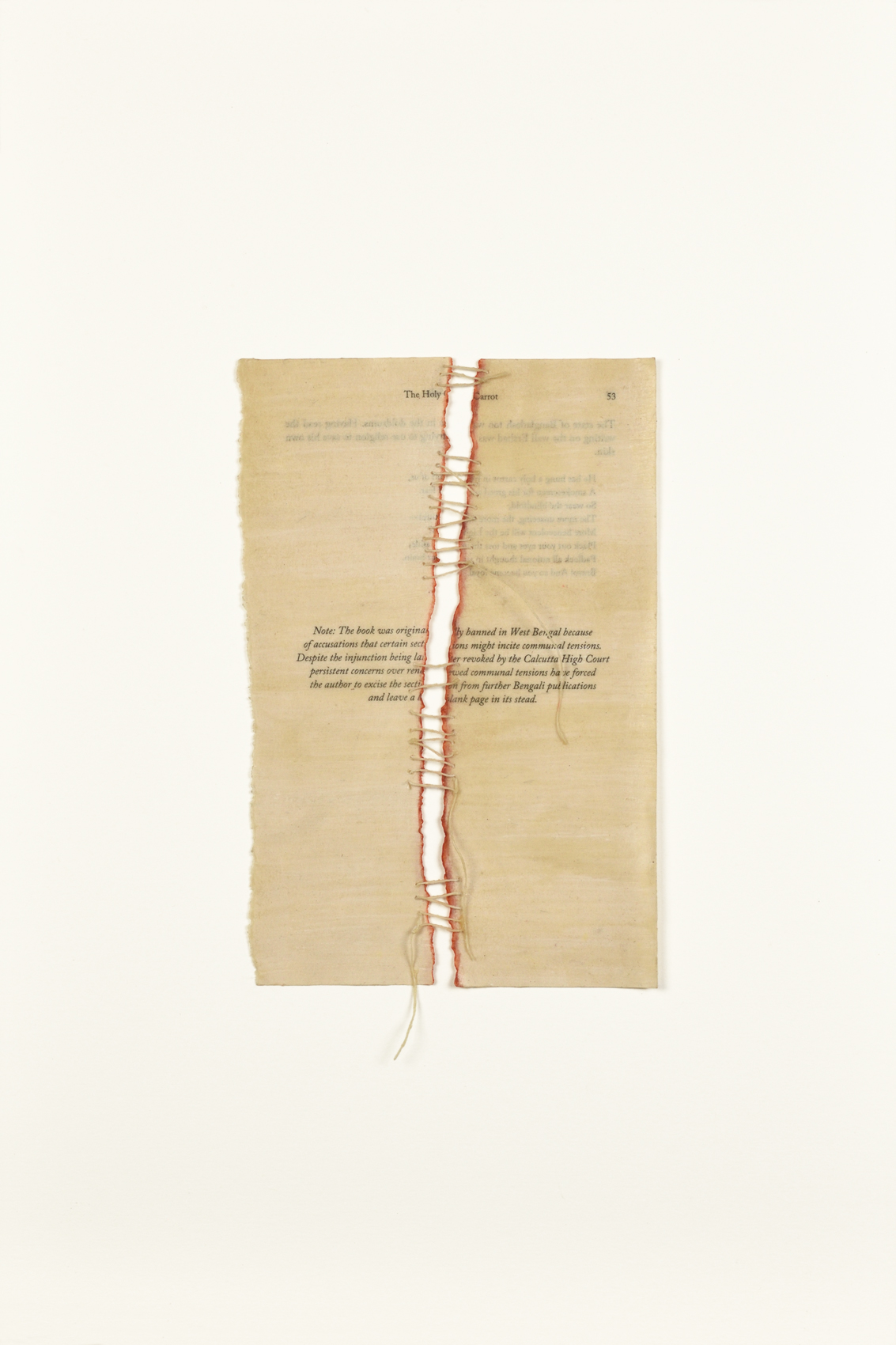 Mansha Chhatwal, banned book, contemporary book art