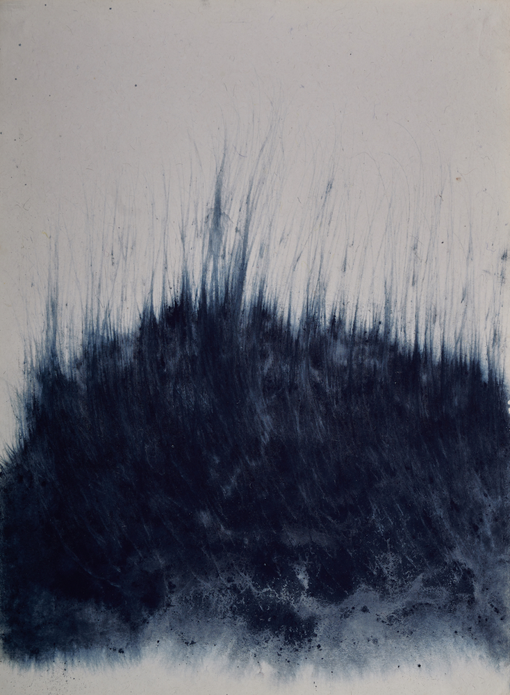 Kaimurai, indigo on paper
