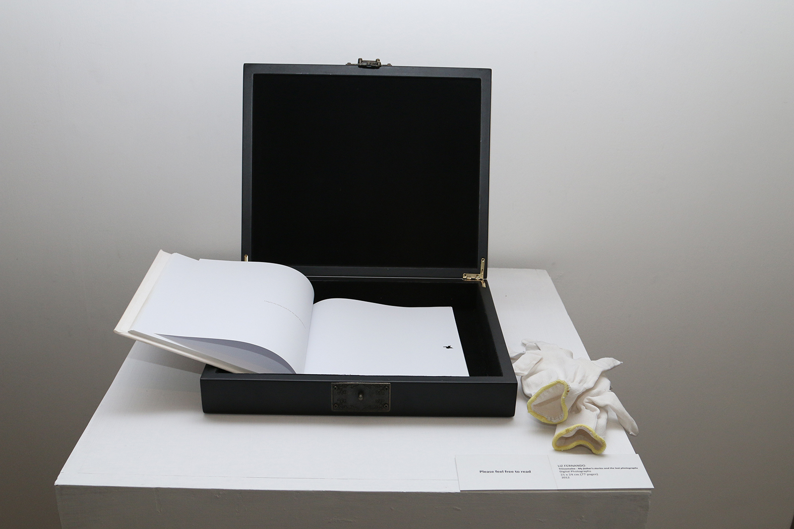 Liz Fernando, book art, Digital Photographs