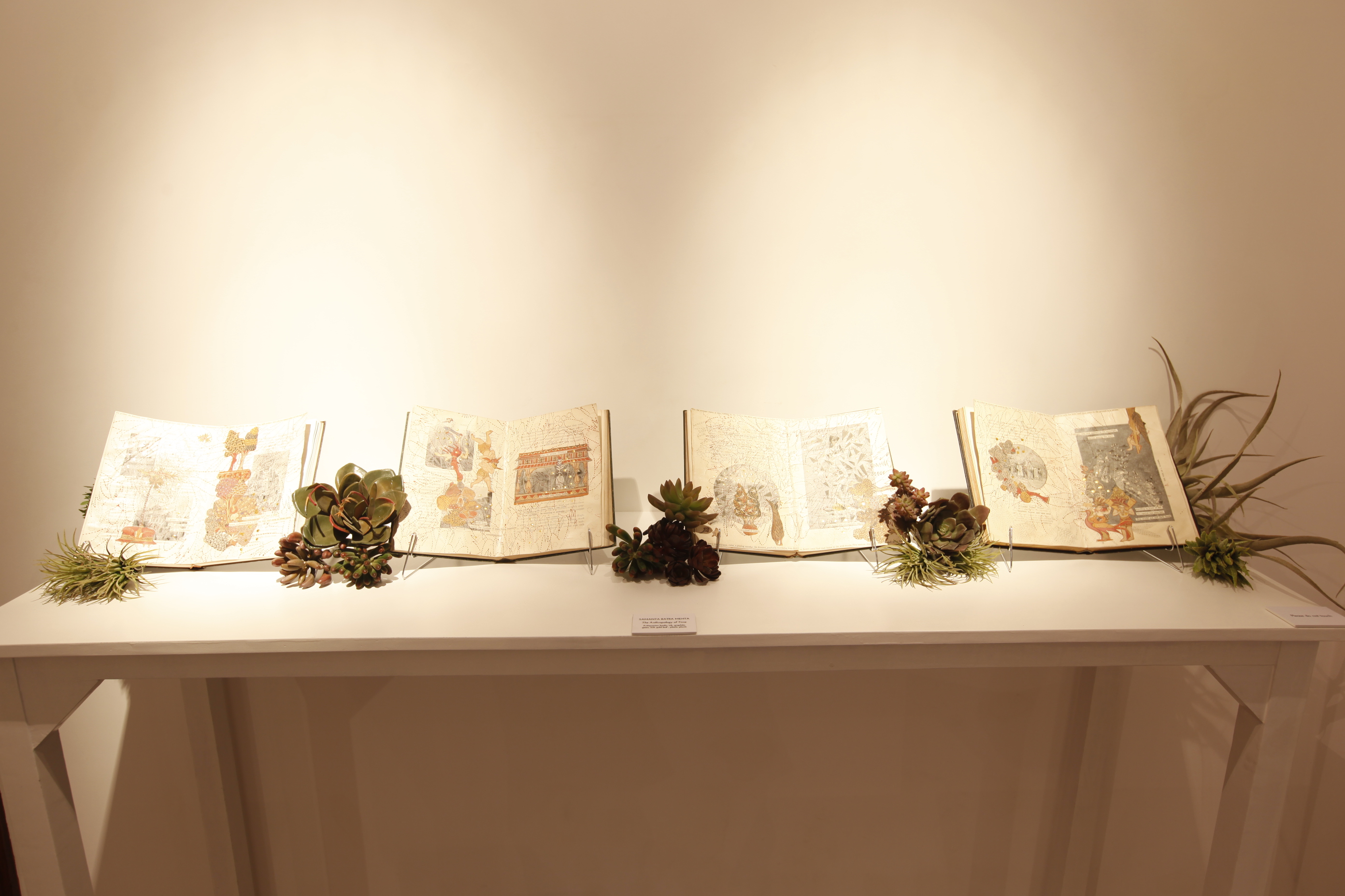 Reading Room at Tarq