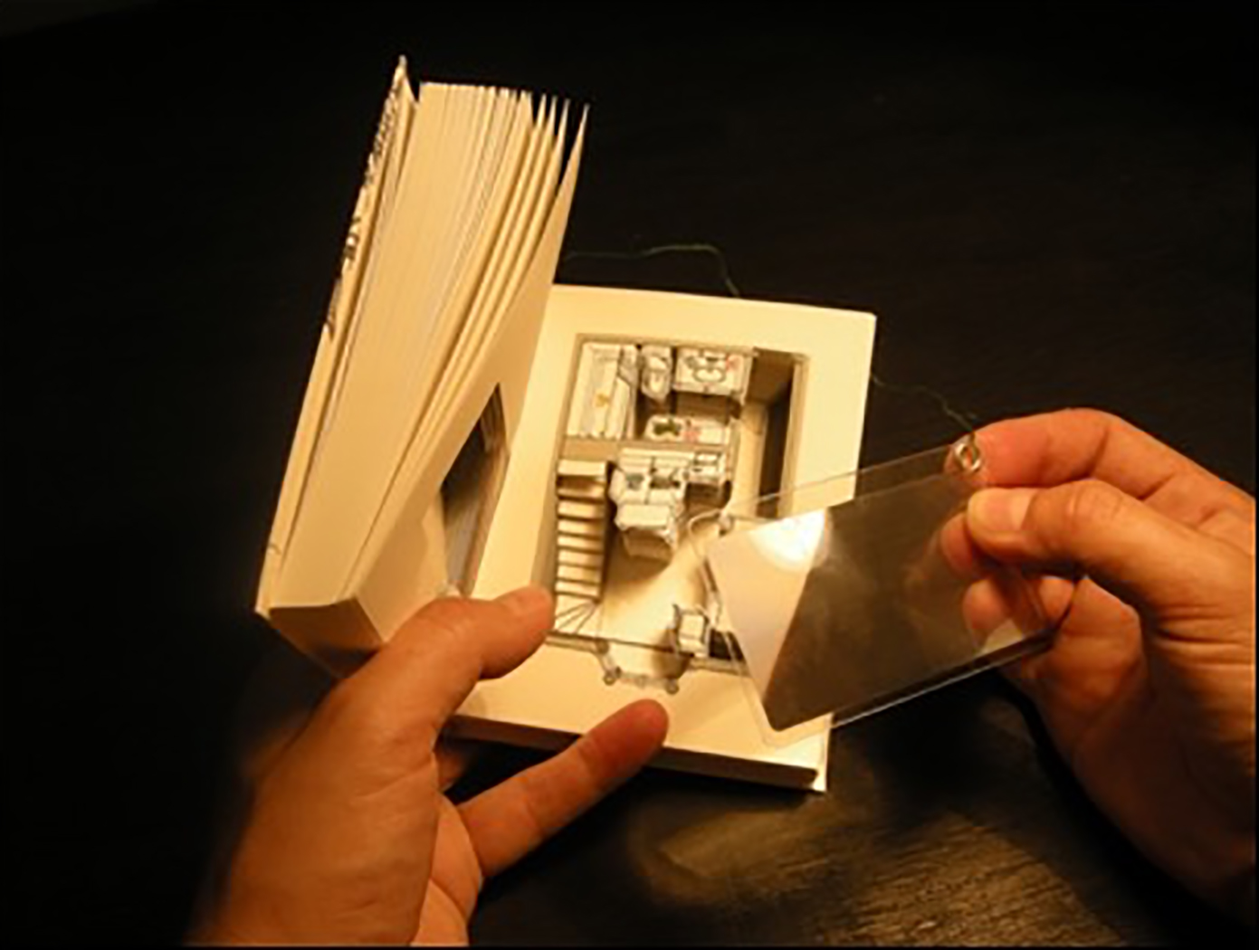 Vishwa Shroff, artist pocket book