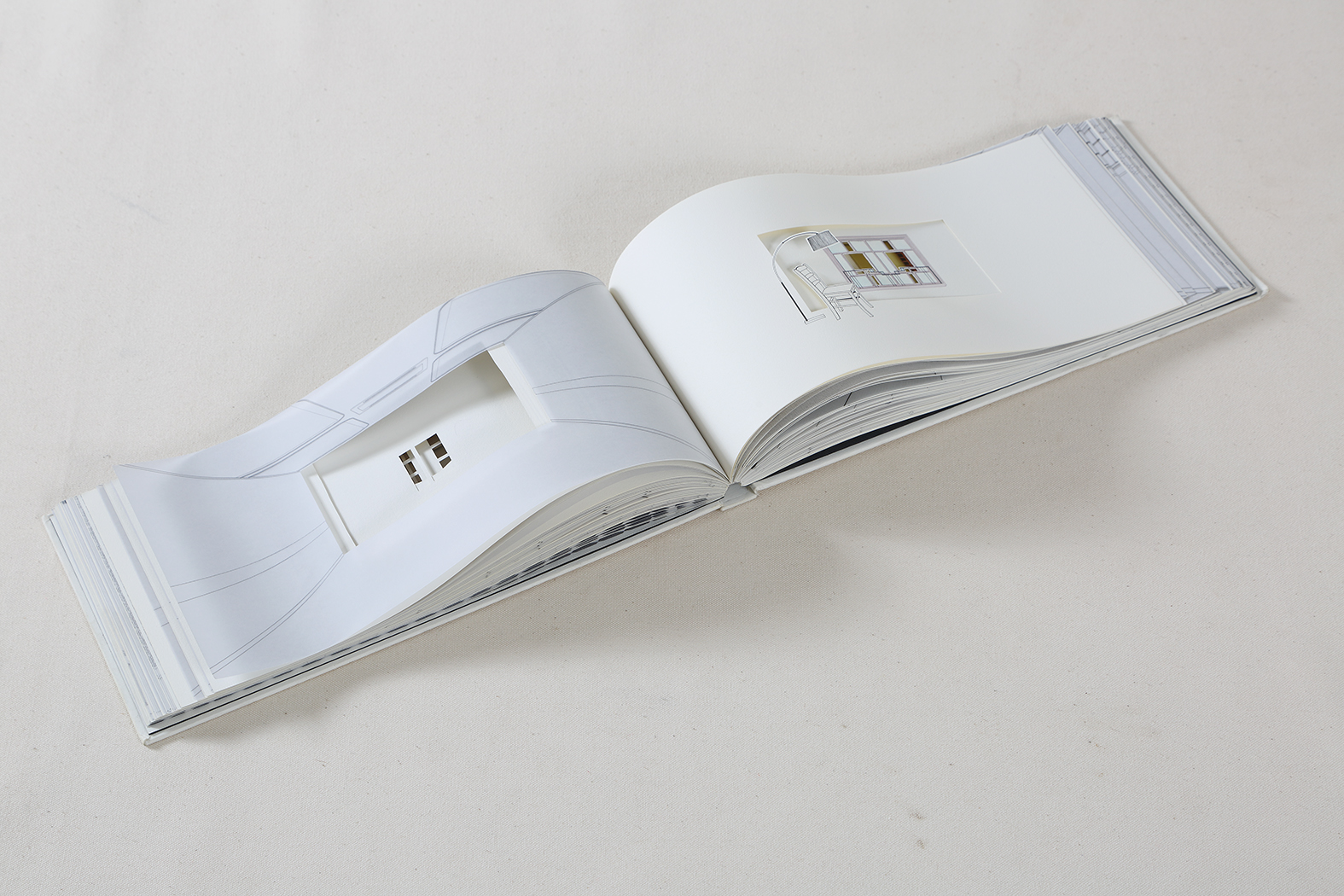 Katsushi Goto & Vishwa Shroff, Artist Book