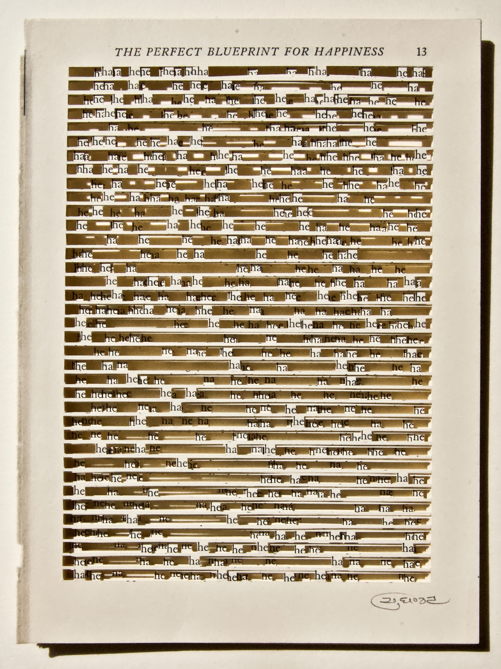 Youdhisthir Maharjan, Cutout reclaimed text
