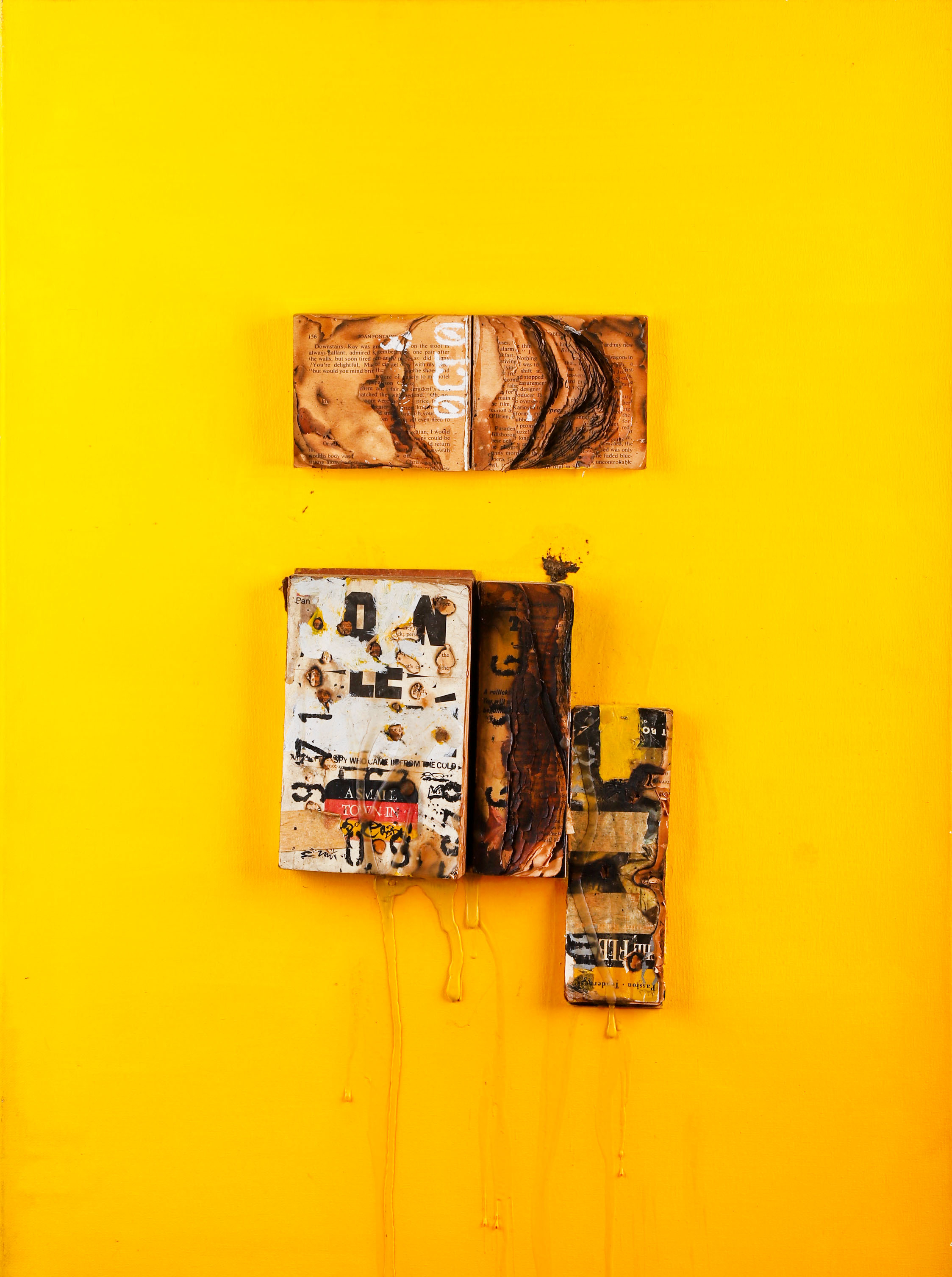Kingsley Gunatillake, Used books & acrylic on canvas