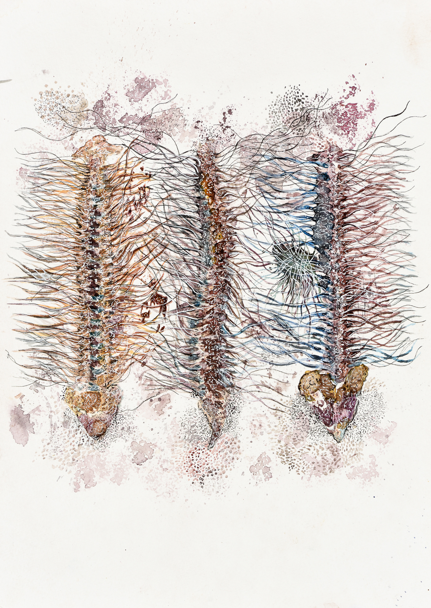 Devika Sundar, water colour on paper, organs