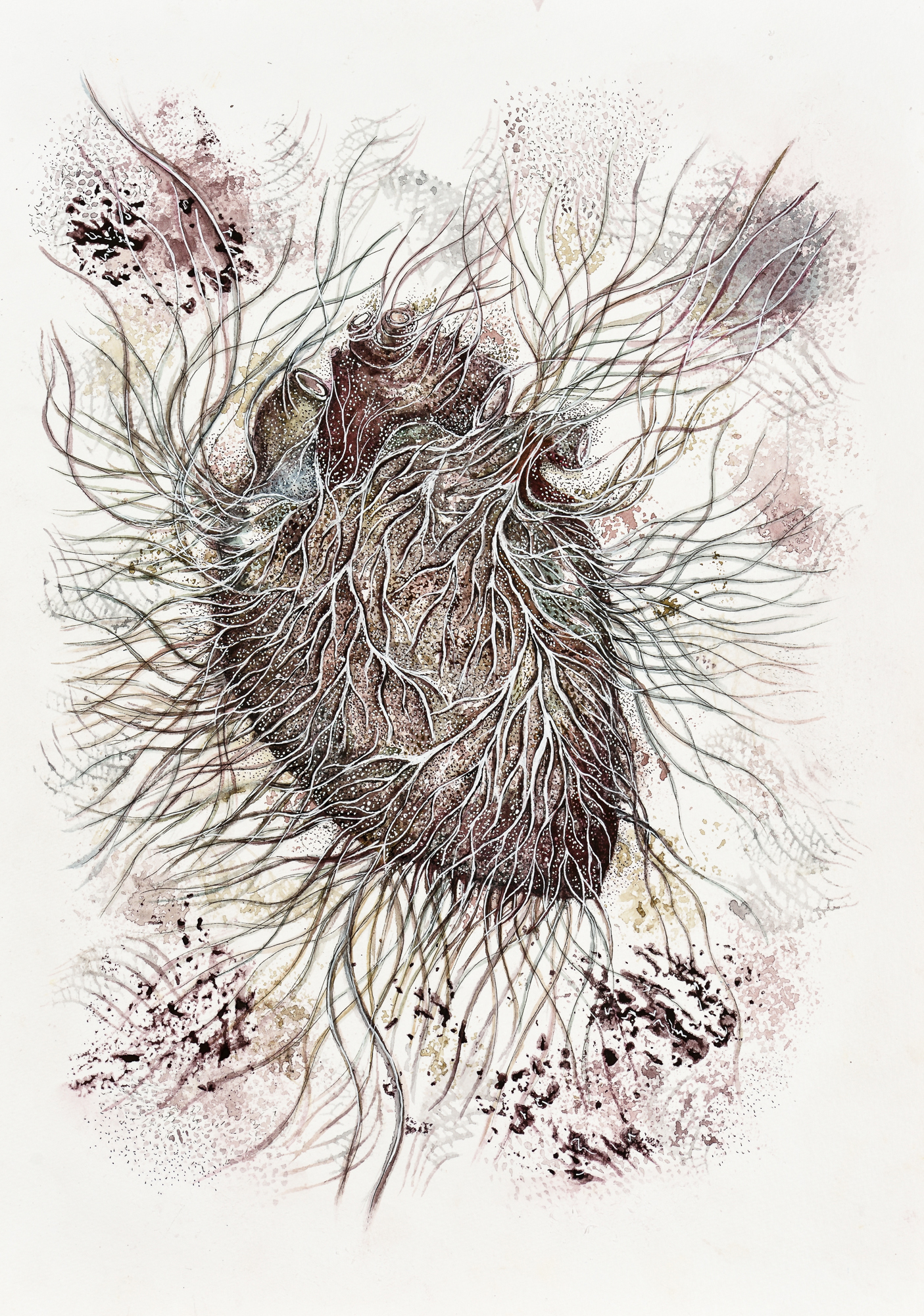 Devika Sundar, water colour on paper, organs