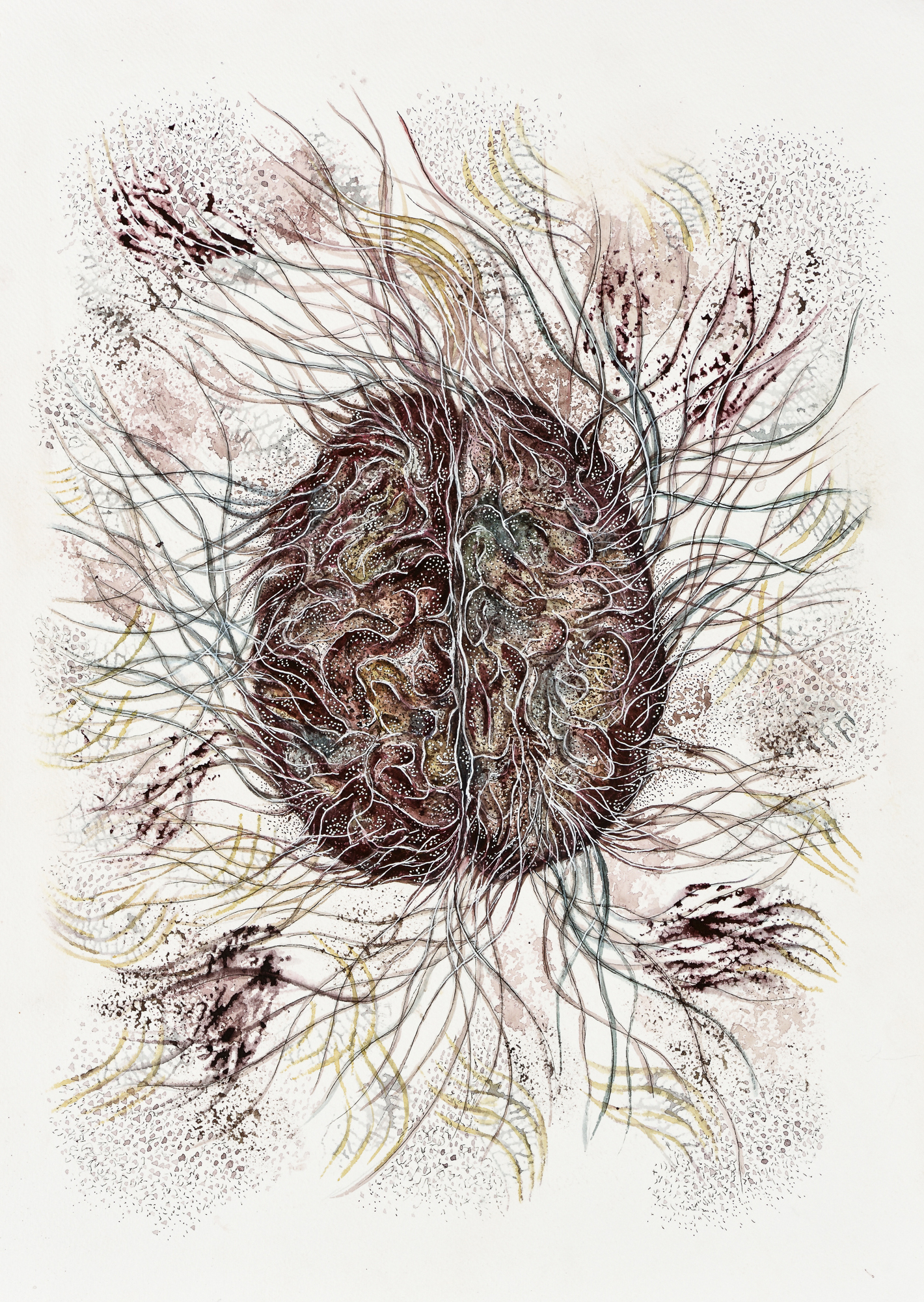 Devika Sundar, water colour on paper, organs