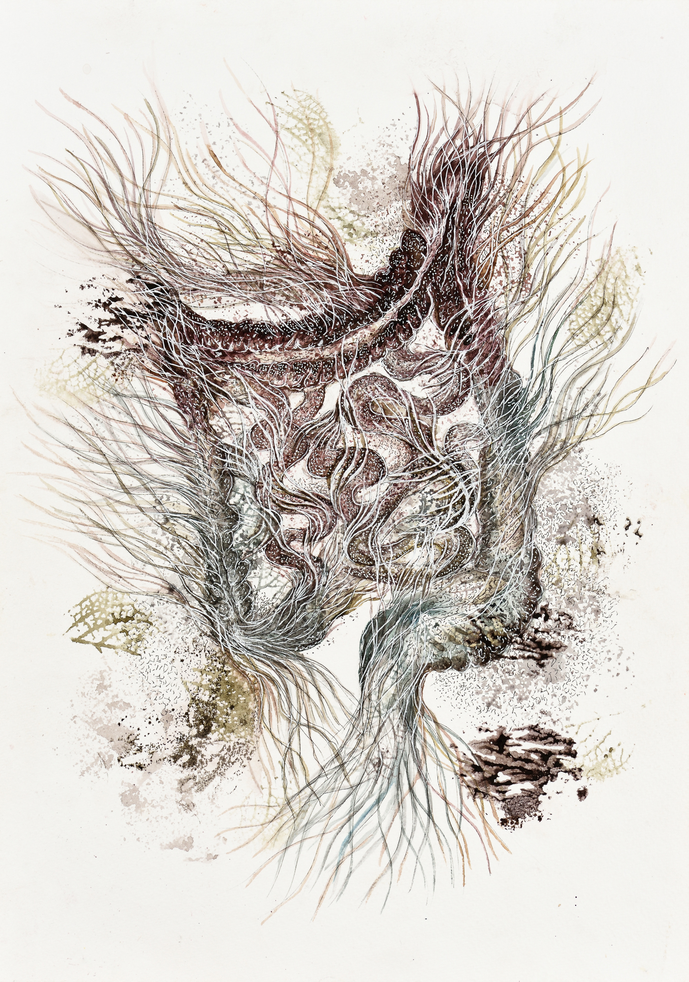 Devika Sundar, water colour on paper, organs