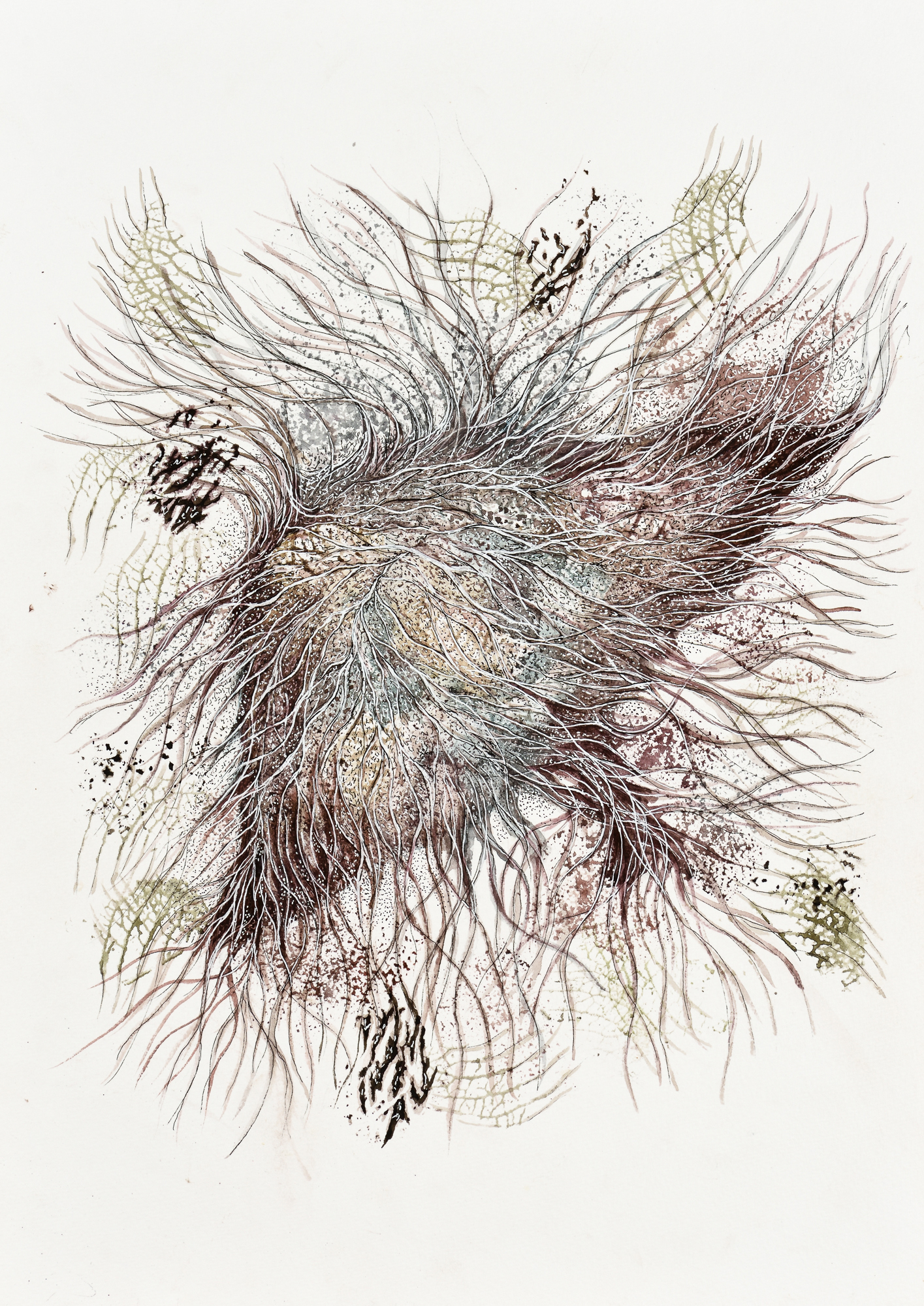 Devika Sundar, water colour on paper, organs