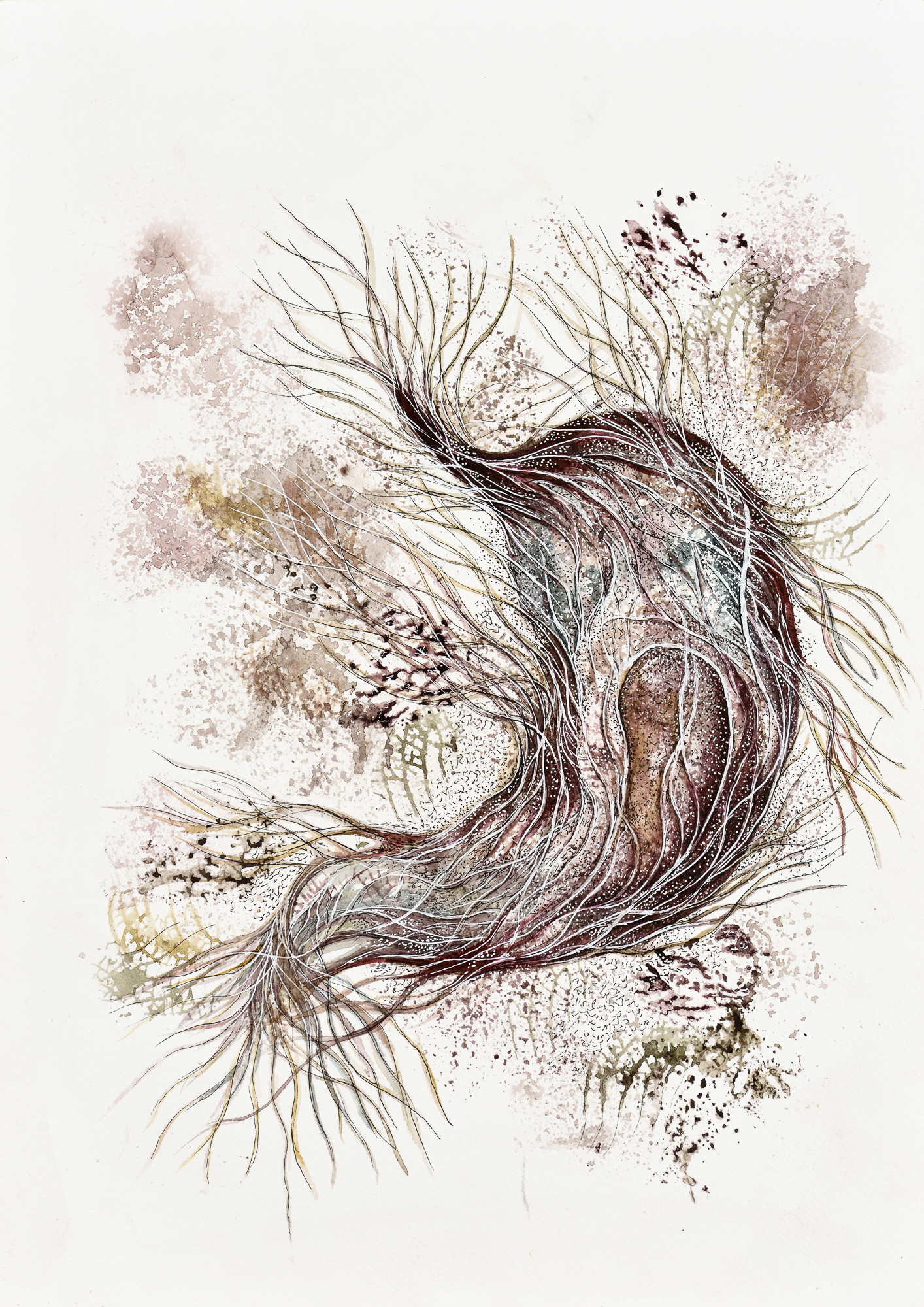 Devika Sundar, water colour on paper, organs