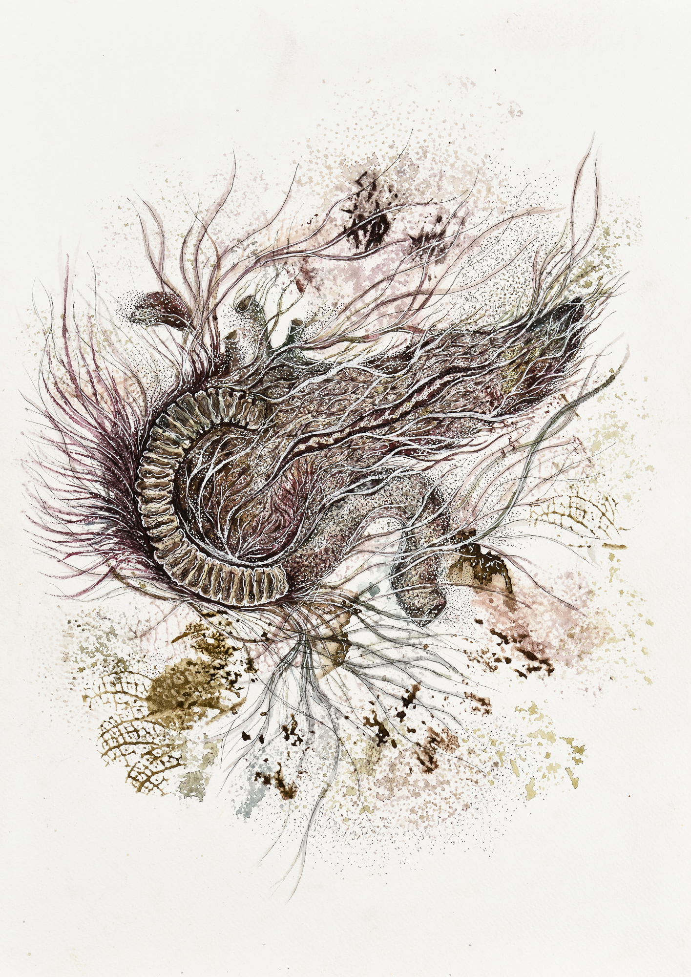Devika Sundar, water colour on paper, organs