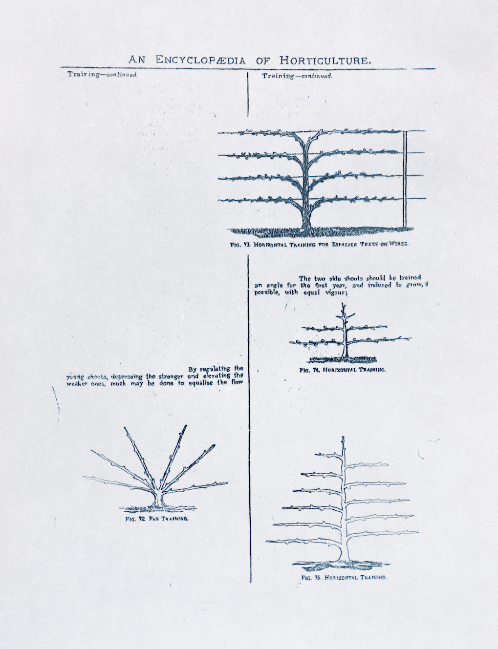 Sarasija Subramanian, etching on tracing paper