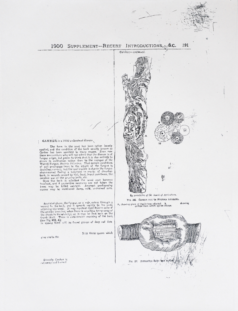Sarasija Subramanian, etching on Canson Montval