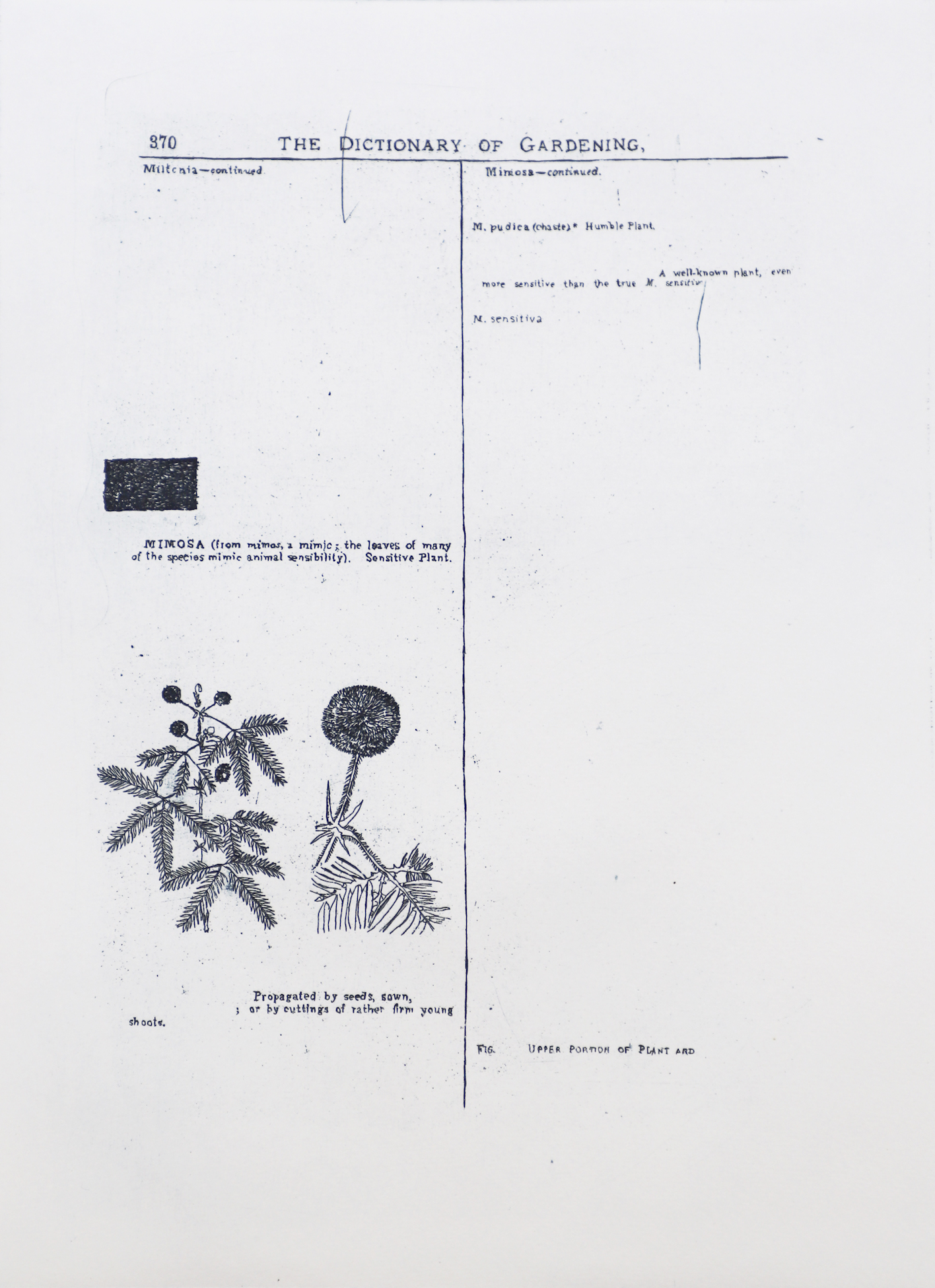 Sarasija Subramanian, etching on Canson Montval