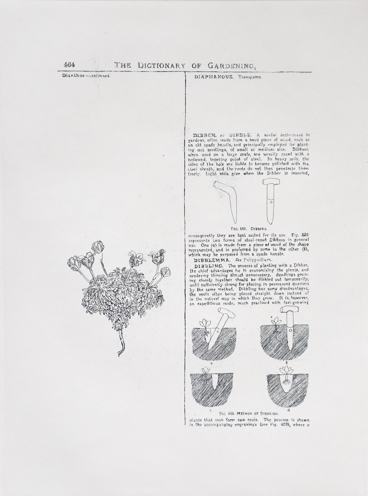 Sarasija Subramanian, etching on Canson Montval