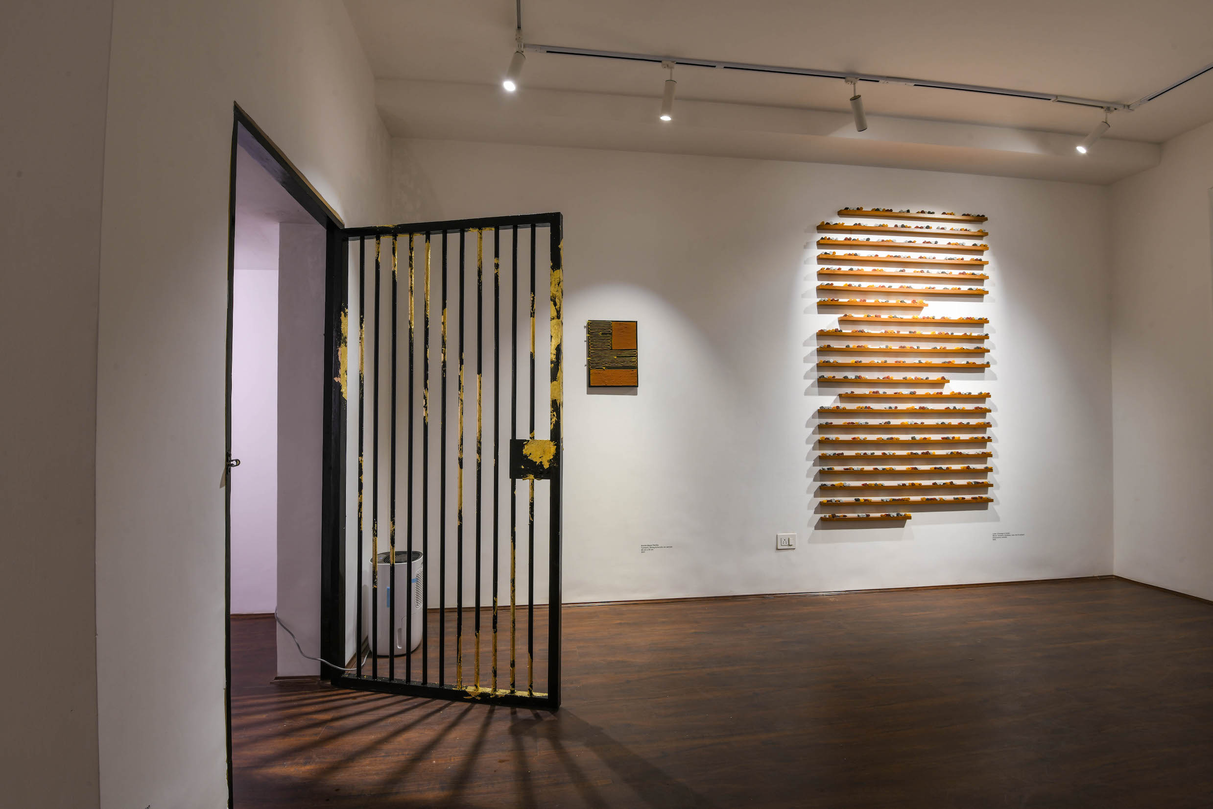 Meghana Gavireddygari, Swadeshi solo show