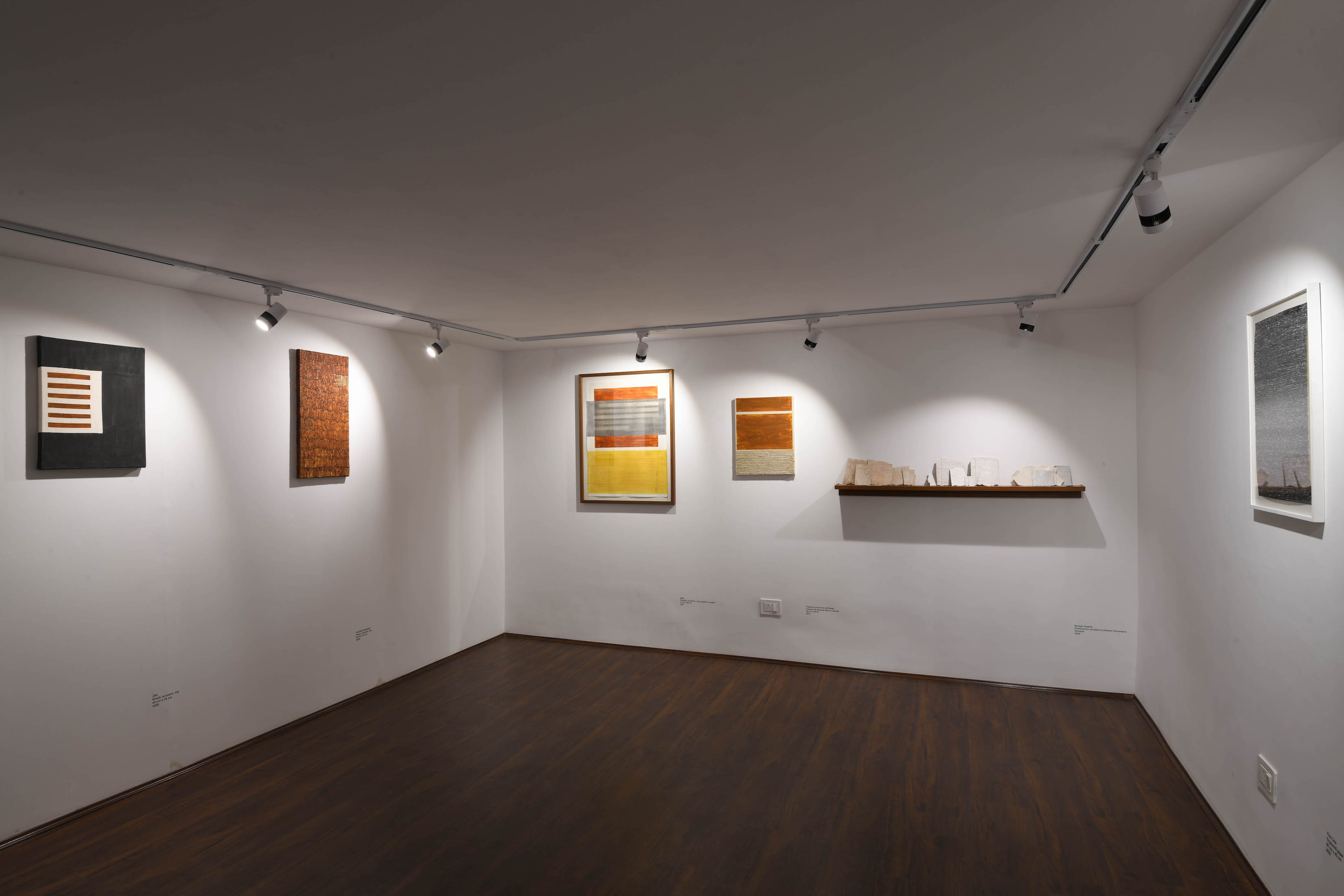 Meghana Gavireddygari, Swadeshi solo show