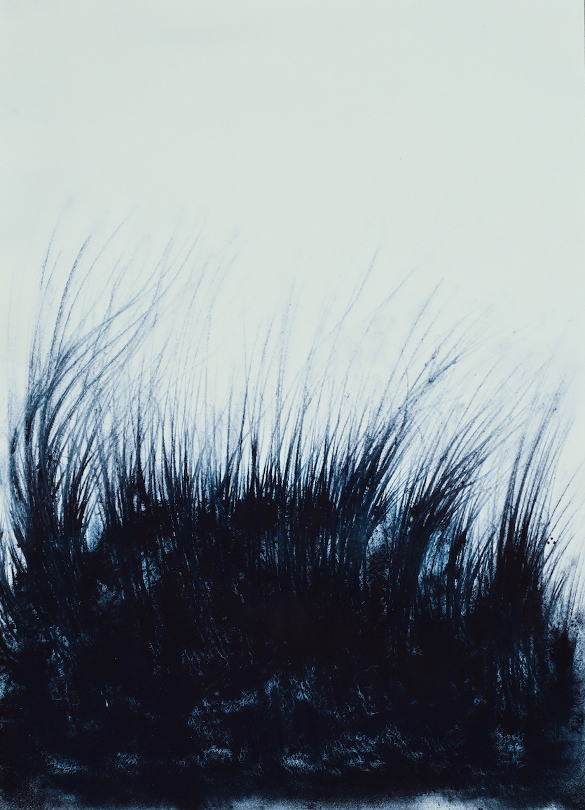 Kaimurai, indigo on paper