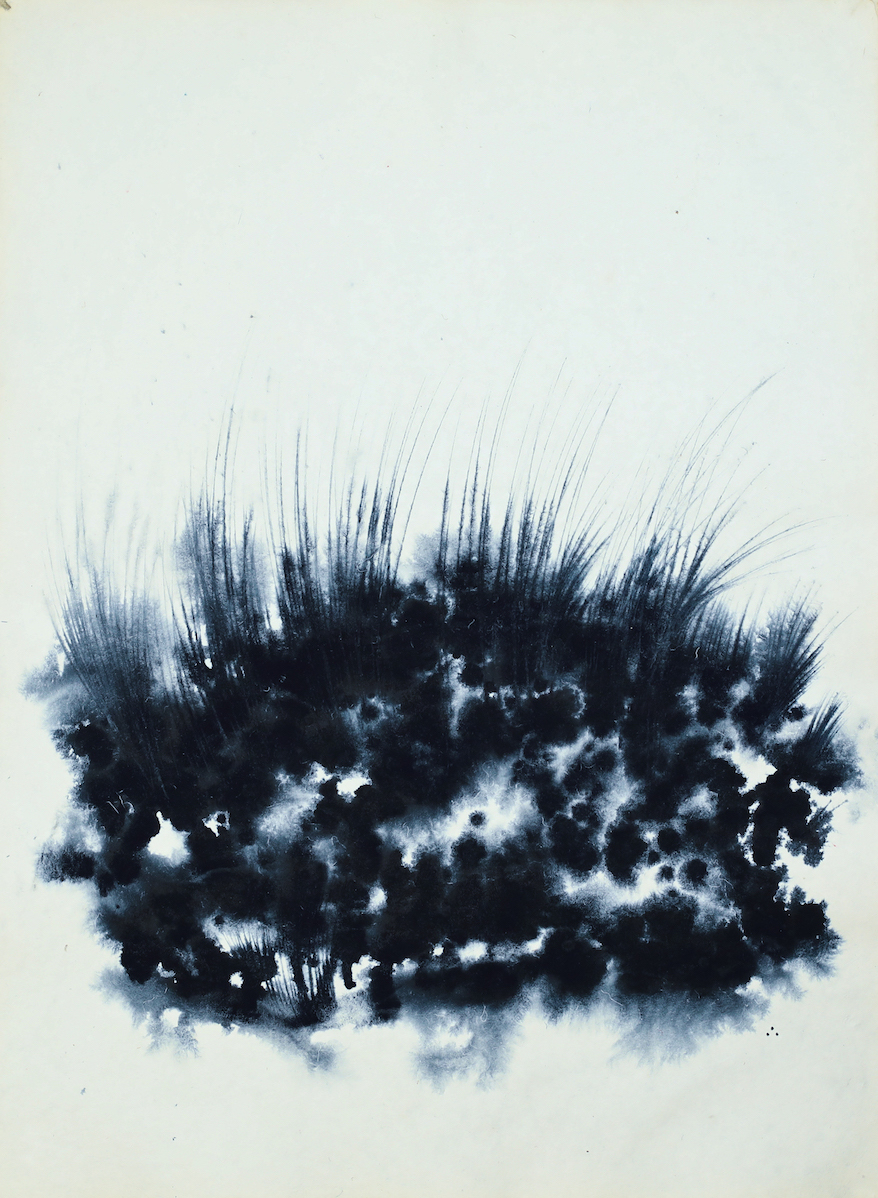 Kaimurai, indigo on paper