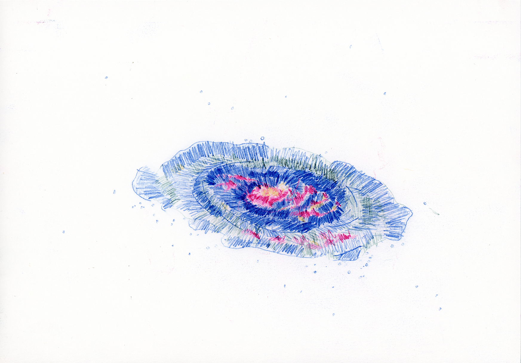 Nihaal Faizal reliable copy, special effect drawings TV show