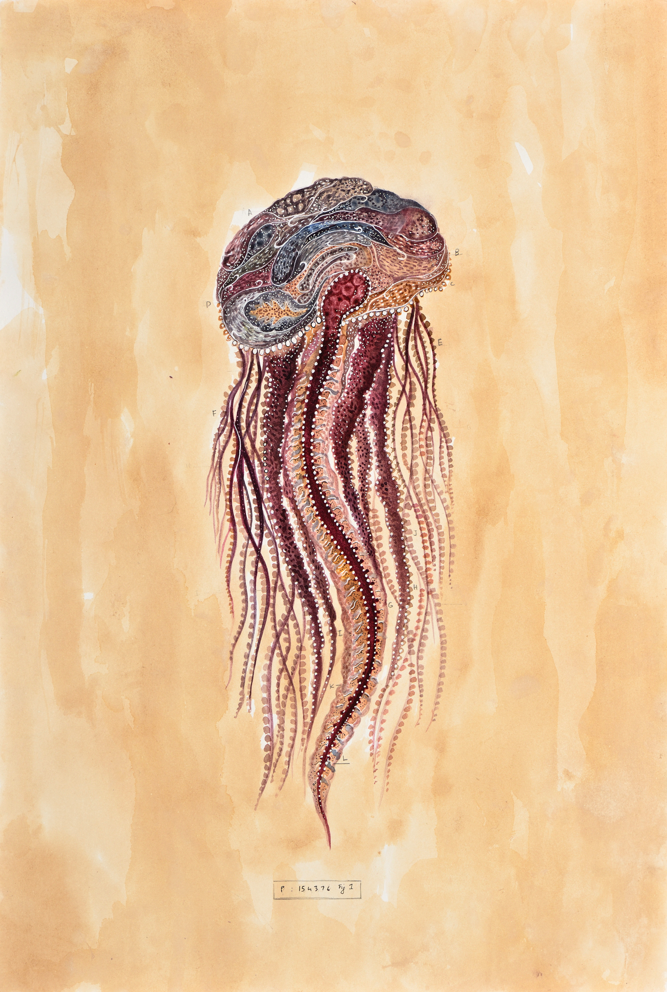 Devika Sundar, art and health, contemporary Indian Artist