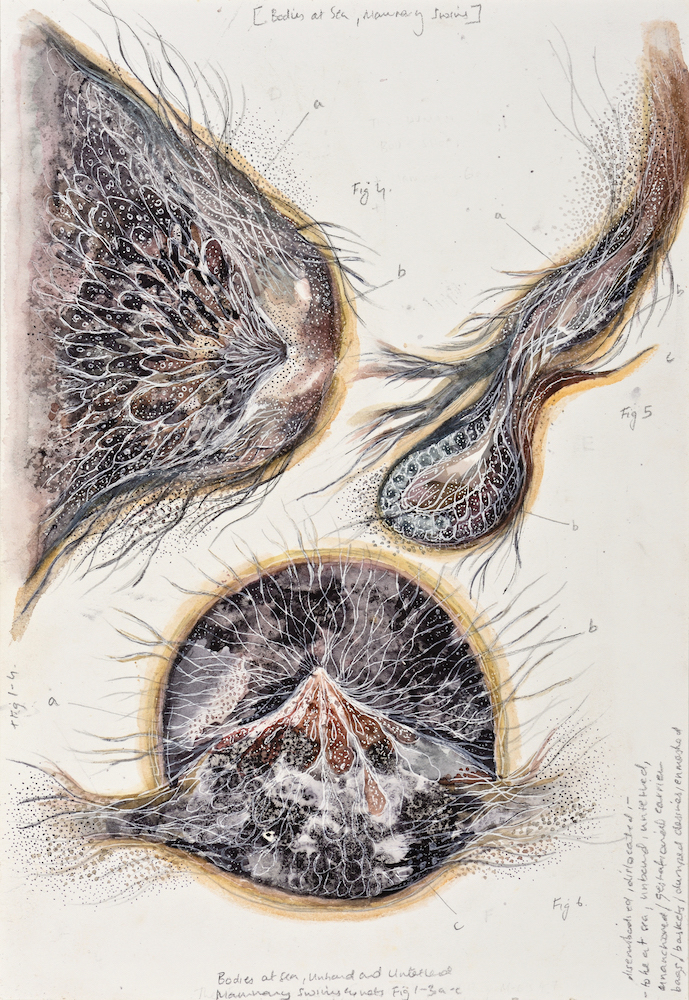 Devika Sundar, art and health, contemporary Indian Artist