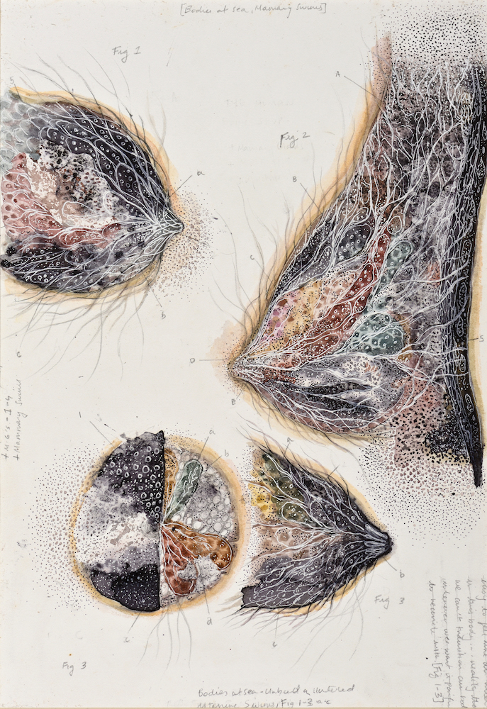 Devika Sundar, art and health, contemporary Indian Artist