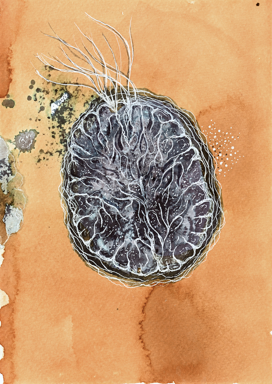 Devika Sundar, art and health, contemporary Indian Artist