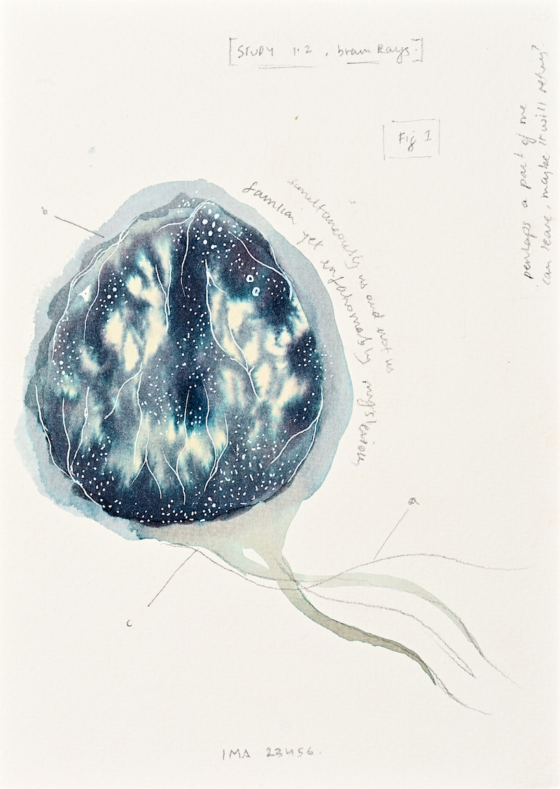 Devika Sundar, art and health, contemporary Indian Artist