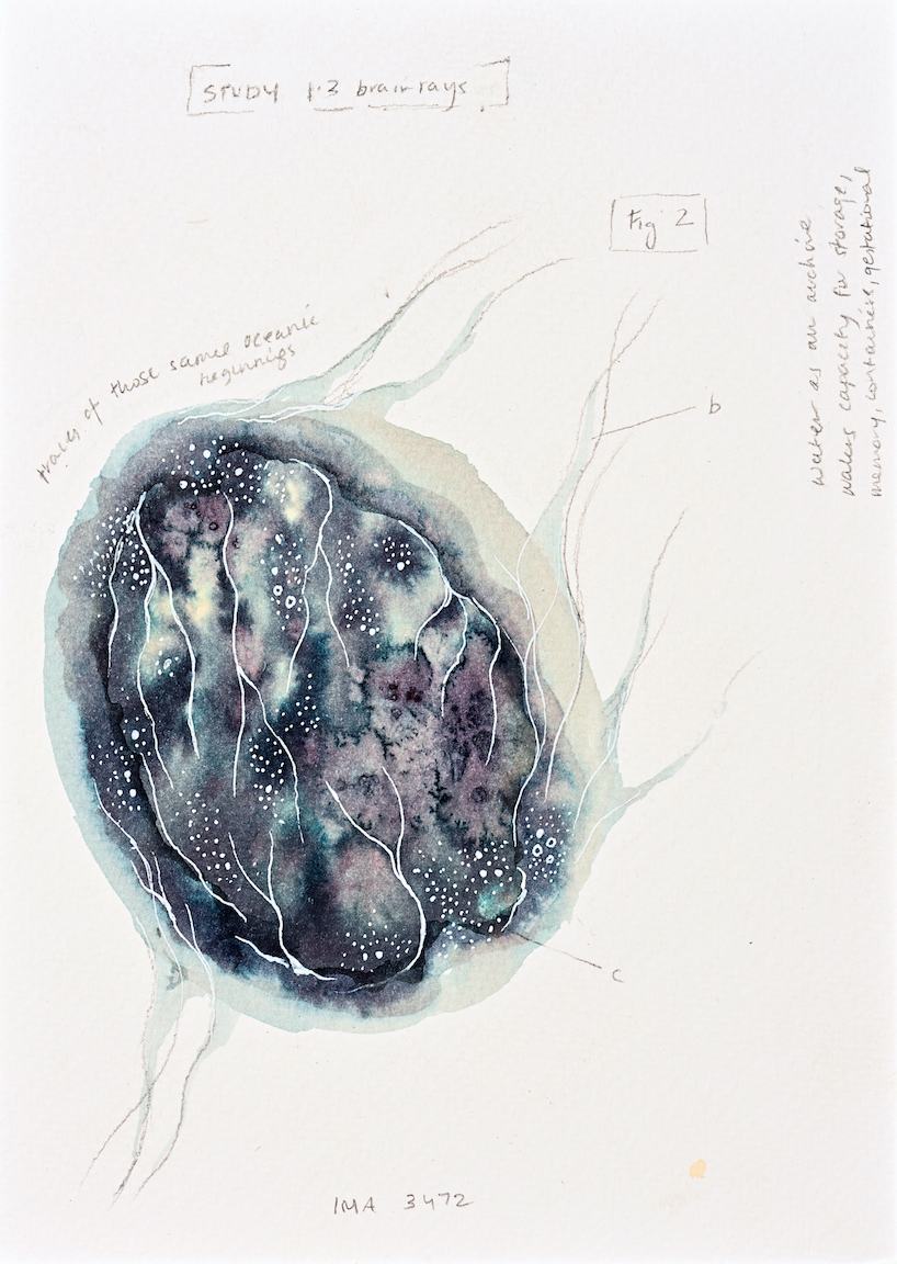 Devika Sundar, art and health, contemporary Indian Artist
