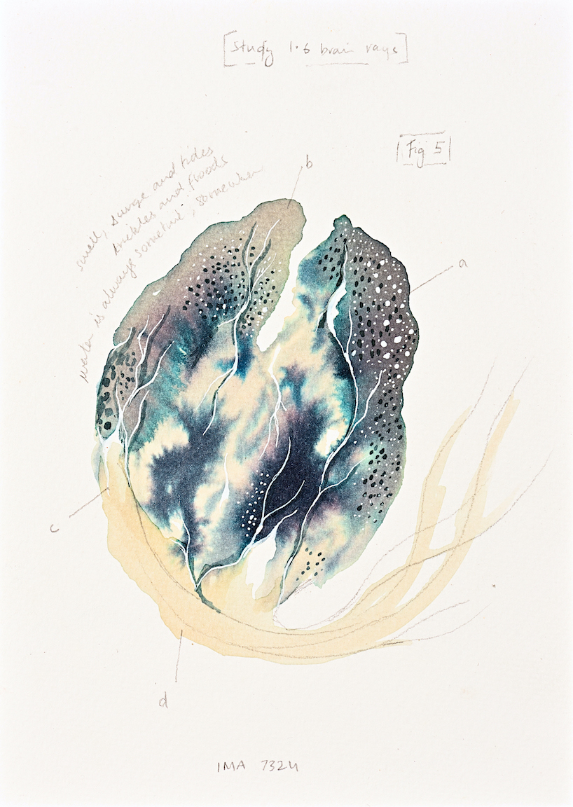 Devika Sundar, art and health, contemporary Indian Artist