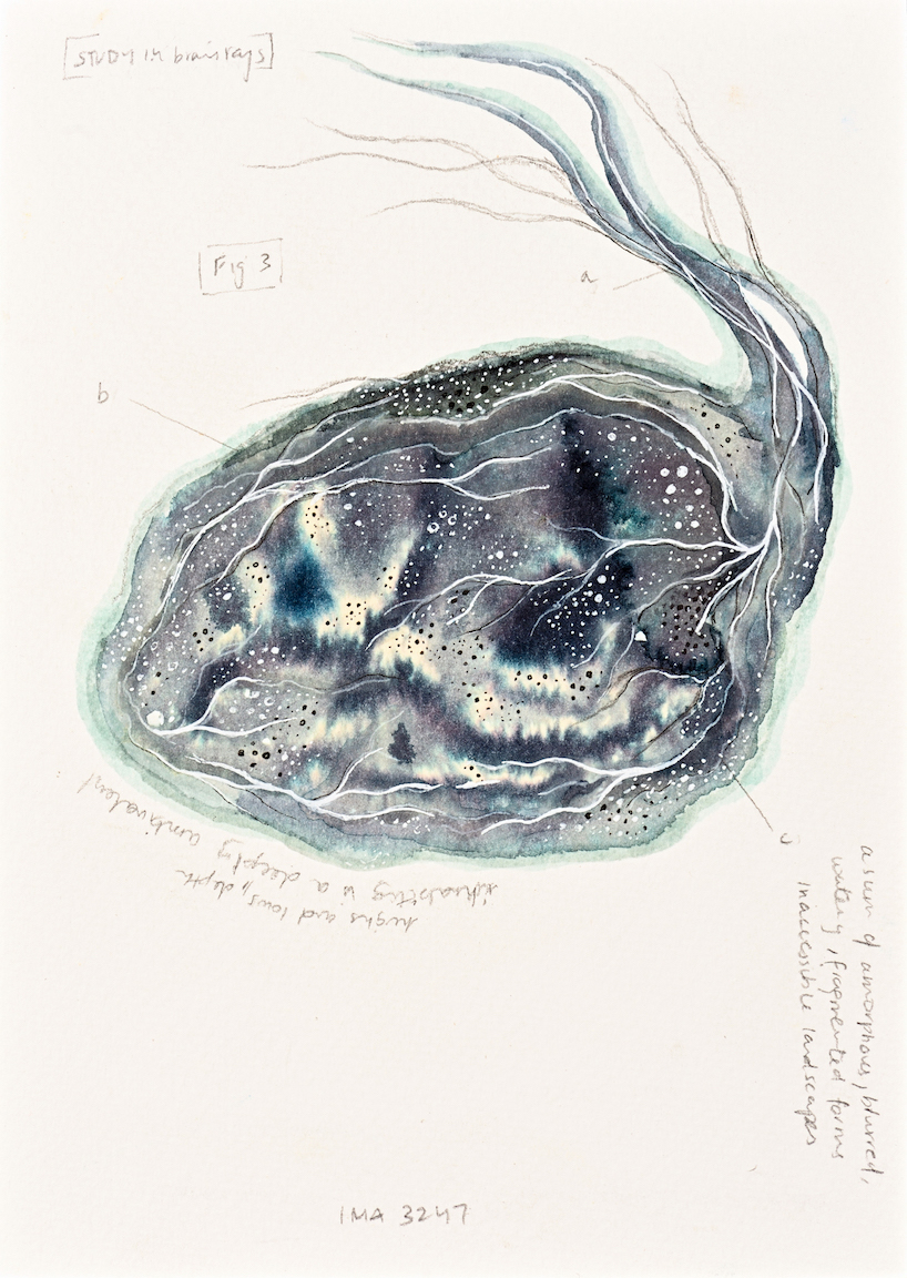 Devika Sundar, art and health, contemporary Indian Artist
