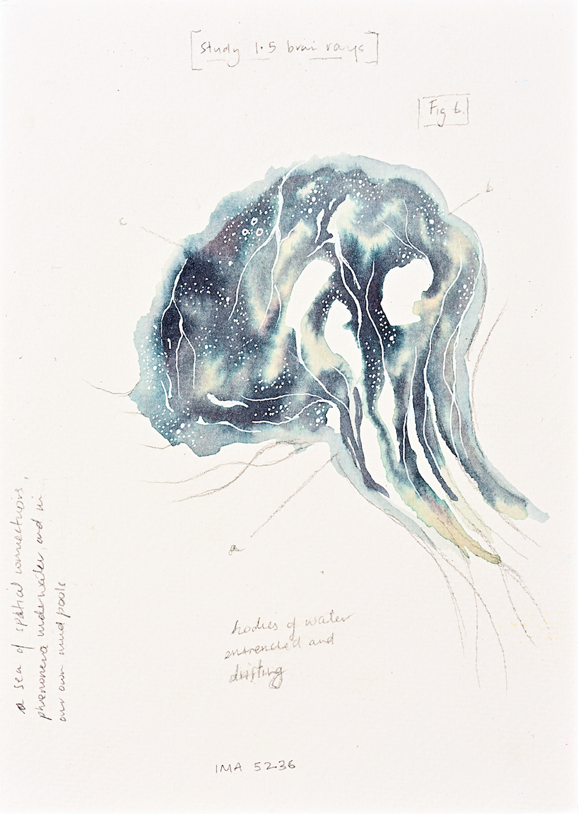 Devika Sundar, art and health, contemporary Indian Artist