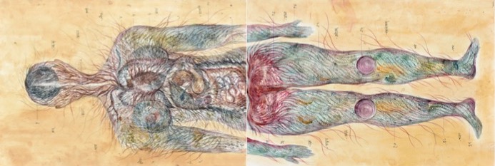 Devika Sundar, art and health, contemporary Indian Artist