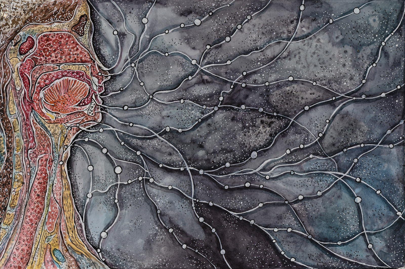 Devika Sundar, art and health, contemporary Indian Artist