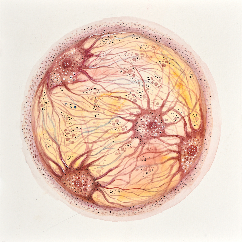 Devika Sundar, art and health, contemporary Indian Artist