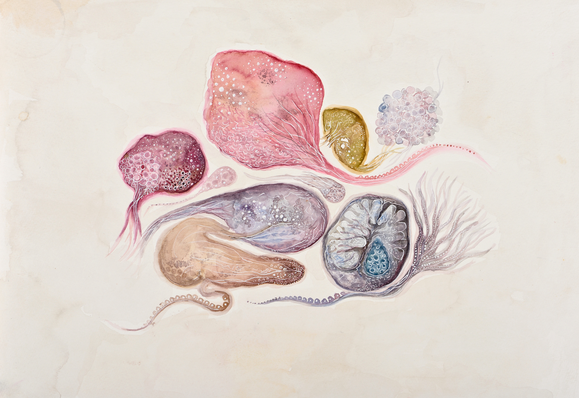 Devika Sundar, art and health, contemporary Indian Artist