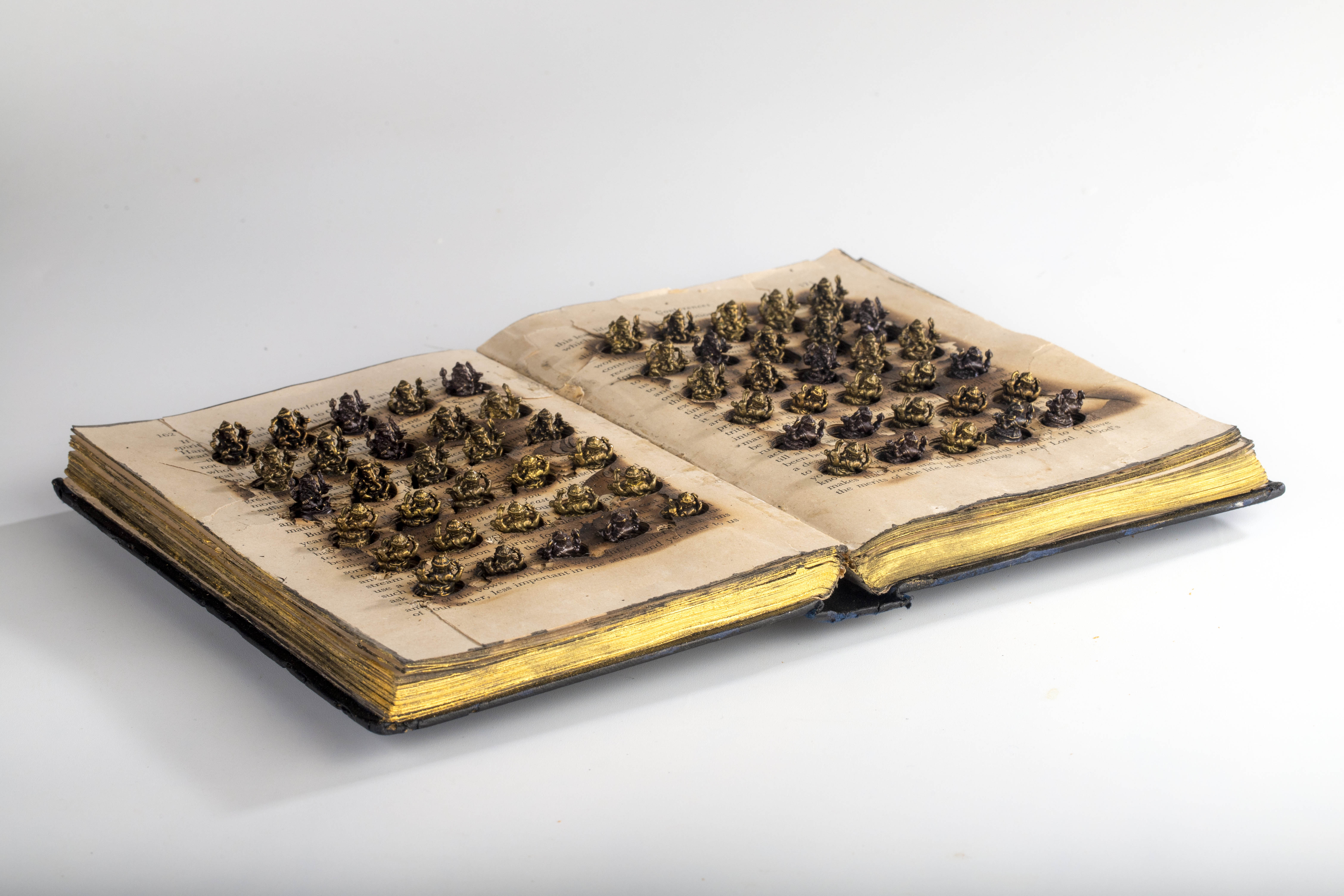 Kingsley Gunatillake, book art, Sri Lanka, Contemporary