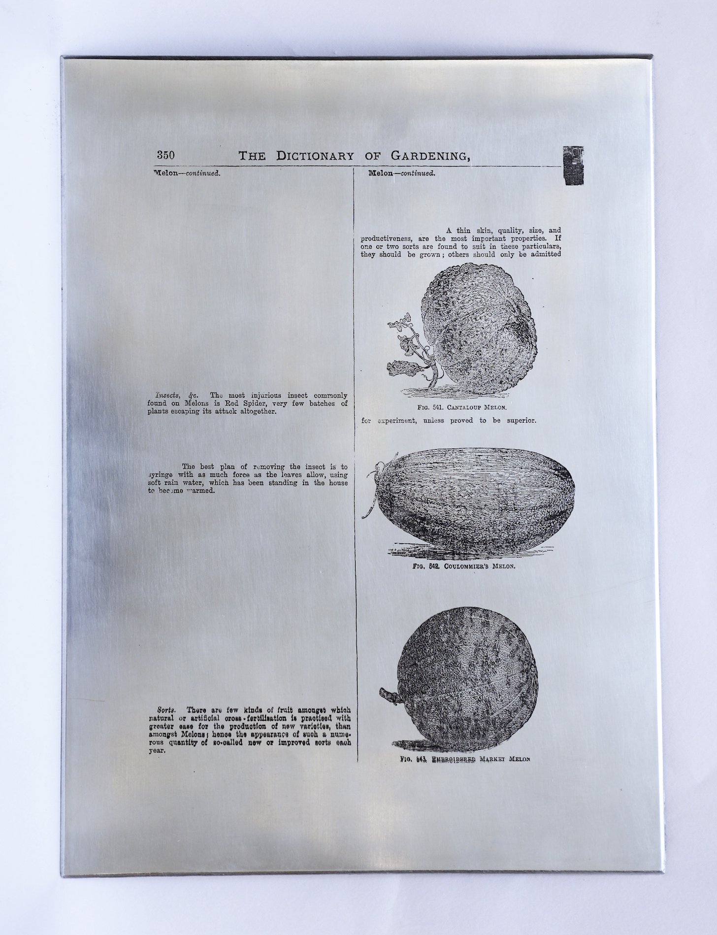 Sarasija subramanian, reliable copy, zinc plate, etching