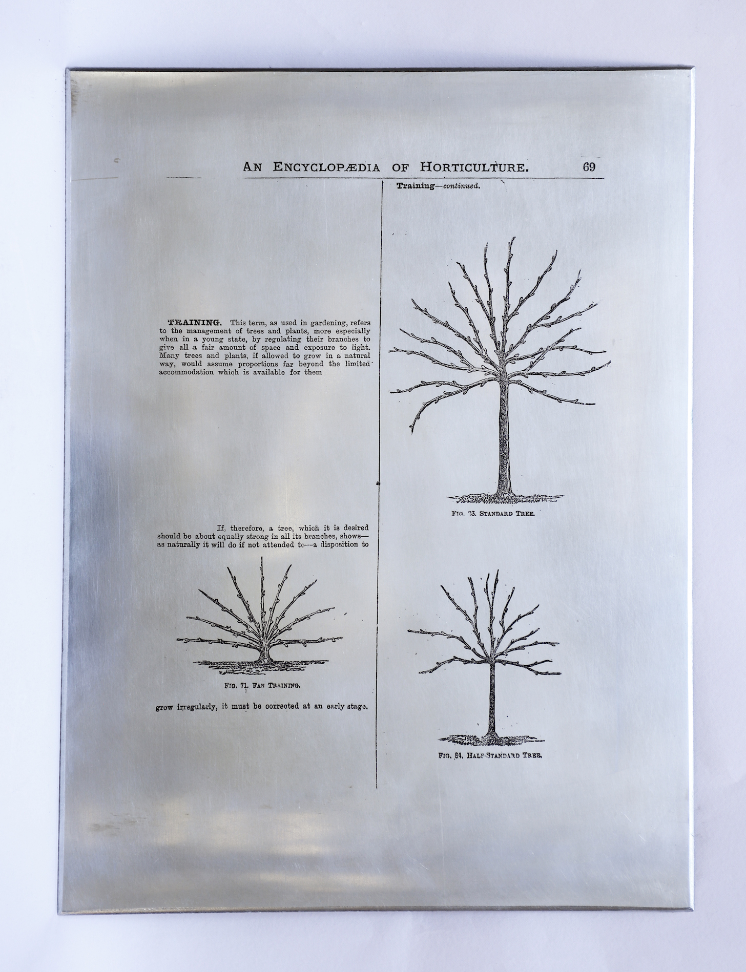 Sarasija subramanian, reliable copy, zinc plate, etching