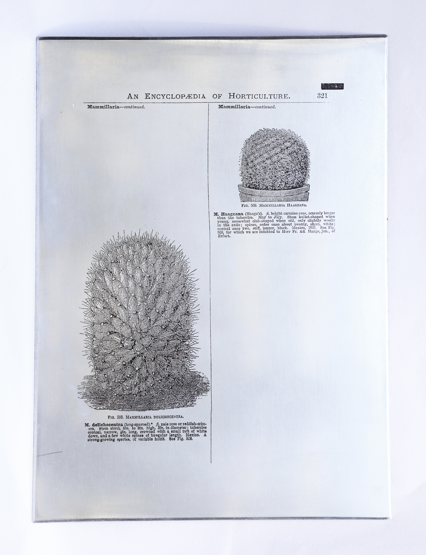 Sarasija subramanian, reliable copy, zinc plate, etching