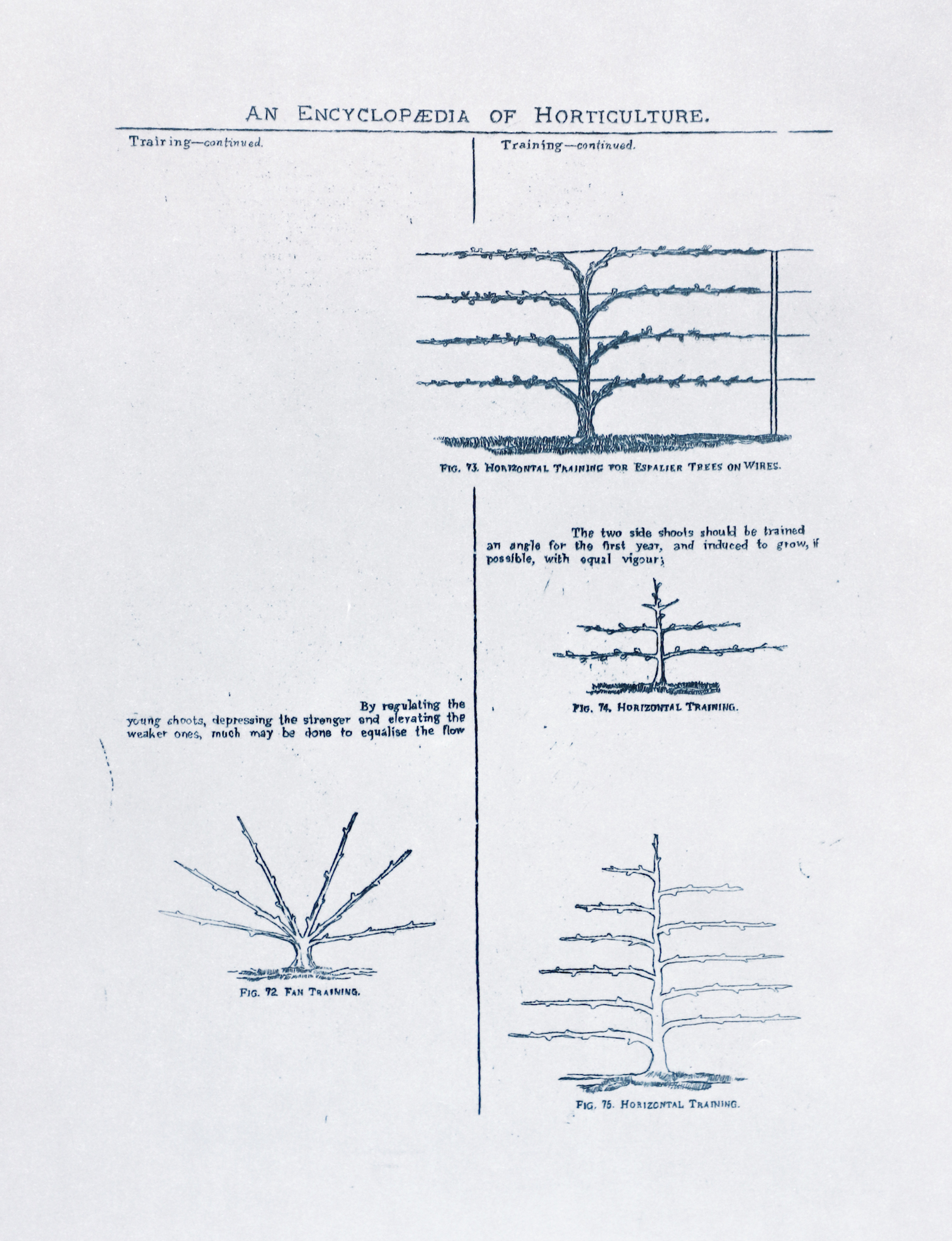 Sarasija subramanian, reliable copy, Etching prints
